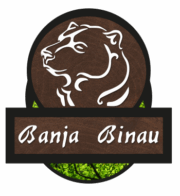 Banja Binau